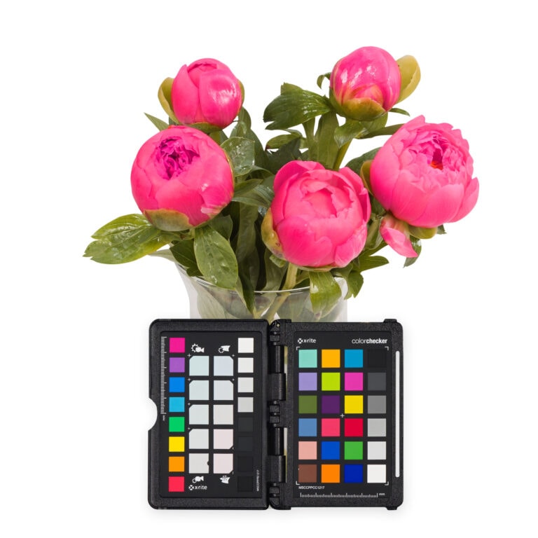 productfotografie bloemen packshot kleur echt 768x768 - Packshots van bloemen